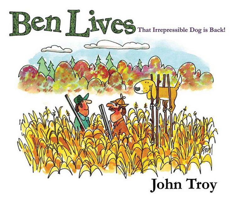 Produktbild: Ben Lives