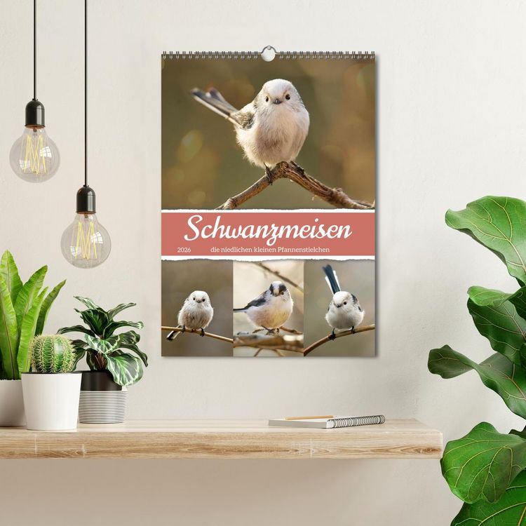 Produktbild: Schwanzmeisen, die niedlichen kleinen Pfannenstielchen (Wandkalender 2026 DIN A3 hoch), CALVENDO Monatskalender