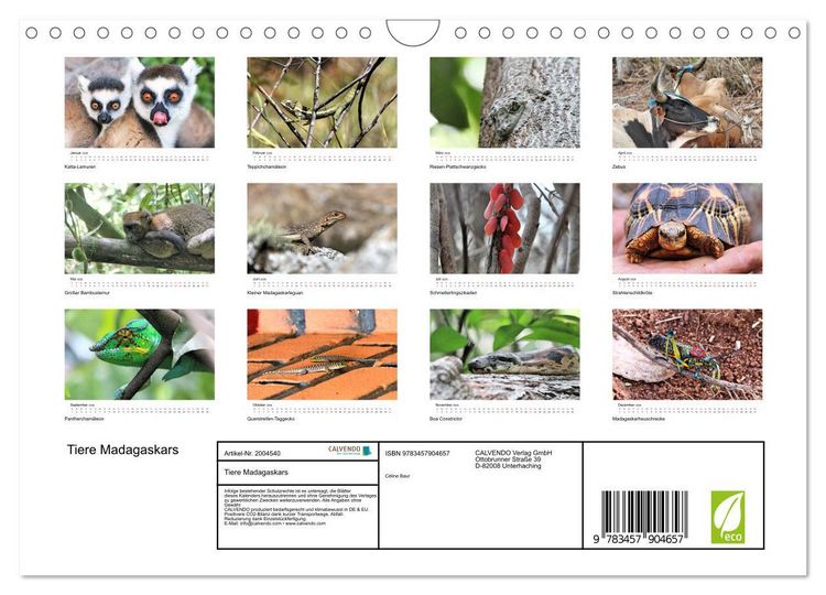 Produktbild: Tiere Madagaskars (Wandkalender 2026 DIN A4 quer), CALVENDO Monatskalender
