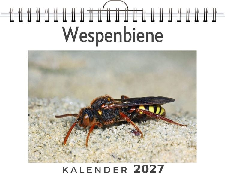 Produktbild: Wespenbiene