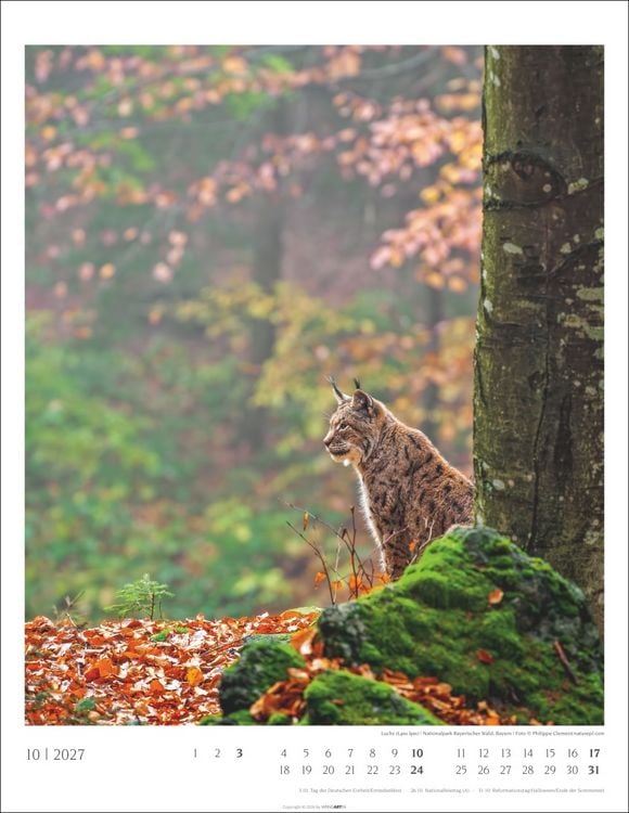 Produktbild: Heimische W&auml;lder Kalender 2027