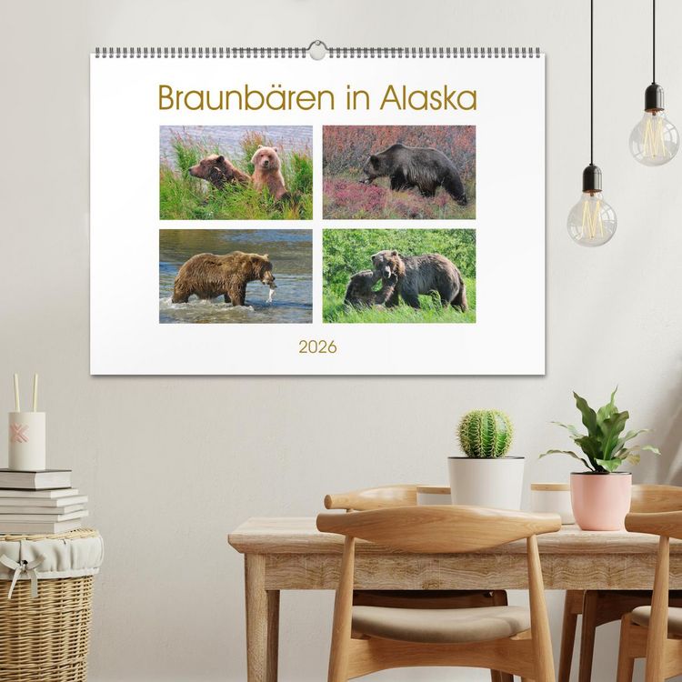 Produktbild: Braunb&auml;ren in Alaska (Wandkalender 2026 DIN A2 quer), CALVENDO Monatskalender