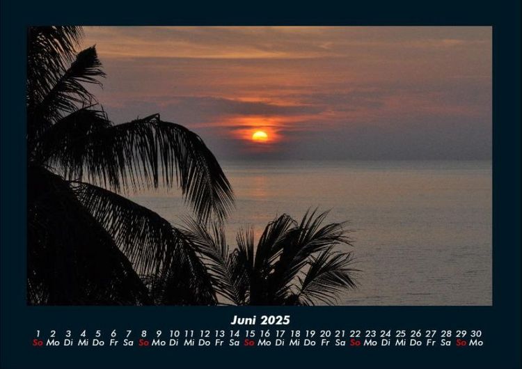 Produktbild: Palmentraum 2025 Fotokalender DIN A4