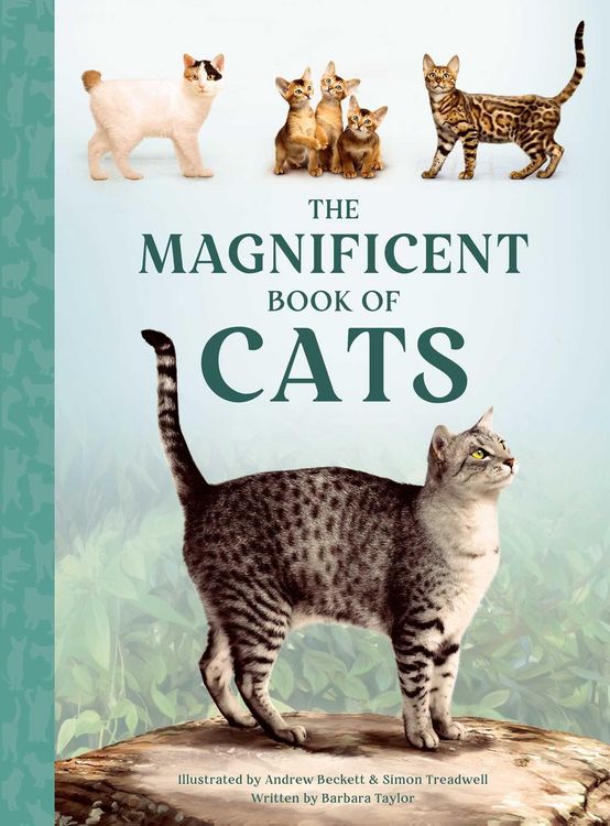 Produktbild: The Magnificent Book of Cats