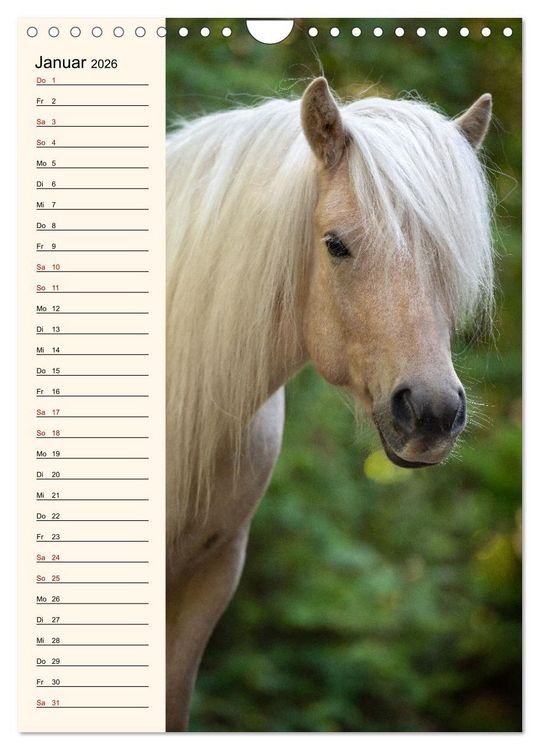 Produktbild: Isl&auml;nder Geburtstagskalender (Wandkalender 2026 DIN A4 hoch), CALVENDO Monatskalender