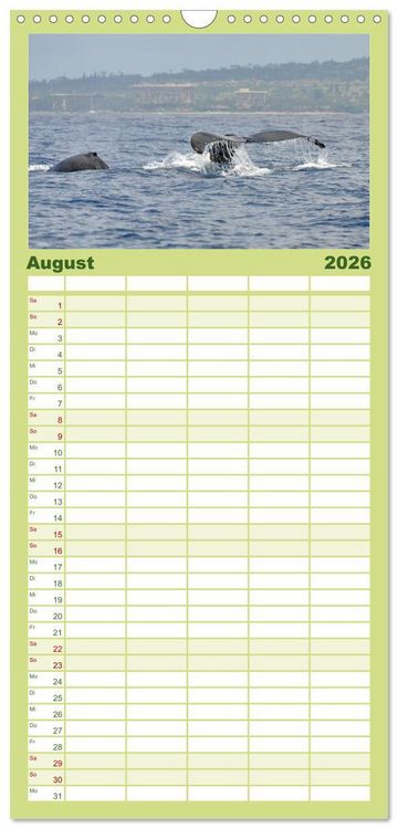 Produktbild: Familienplaner 2026 - Hawaii - Land of Aloha mit 5 Spalten (Wandkalender, 21 x 45 cm) CALVENDO