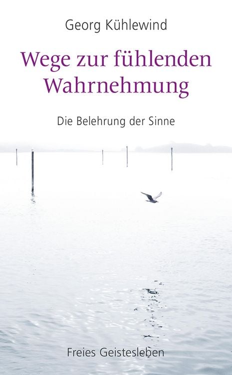 Produktbild: Wege zur f&uuml;hlenden Wahrnehmung
