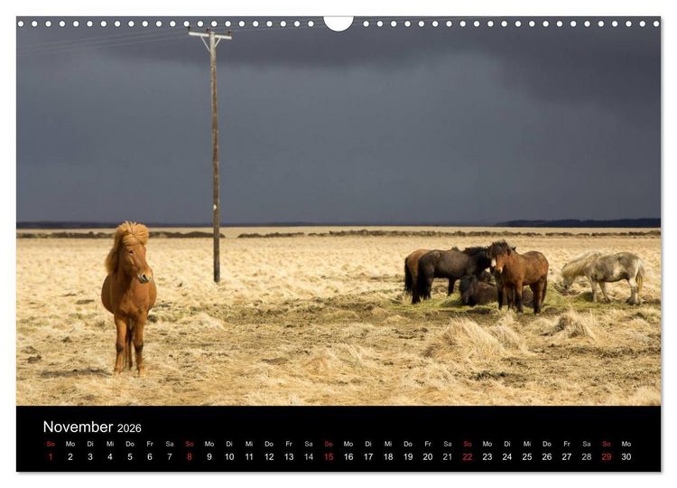 Produktbild: Eindr&uuml;cklich Island 2026 (Wandkalender 2026 DIN A3 quer), CALVENDO Monatskalender