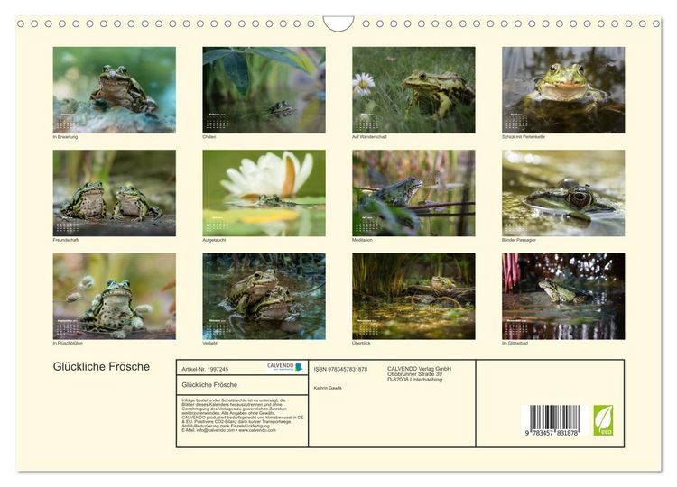 Produktbild: Gl&uuml;ckliche Fr&ouml;sche (Wandkalender 2026 DIN A3 quer), CALVENDO Monatskalender