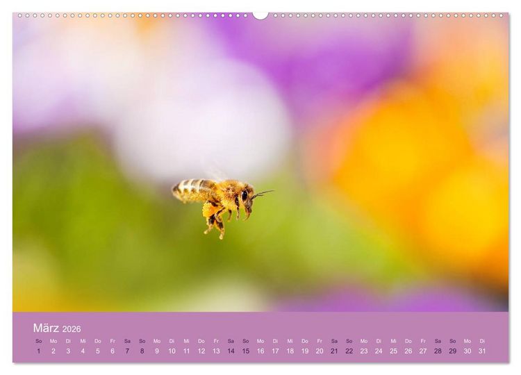 Produktbild: Farbwechsel - Die Farben der vier Jahreszeiten (hochwertiger Premium Wandkalender 2026 DIN A2 quer), Kunstdruck in Hochglanz