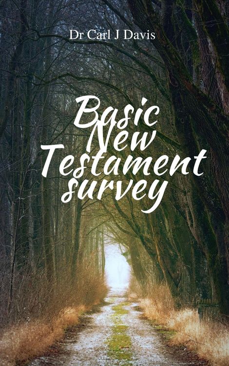 Produktbild: Basic New Testament Survey