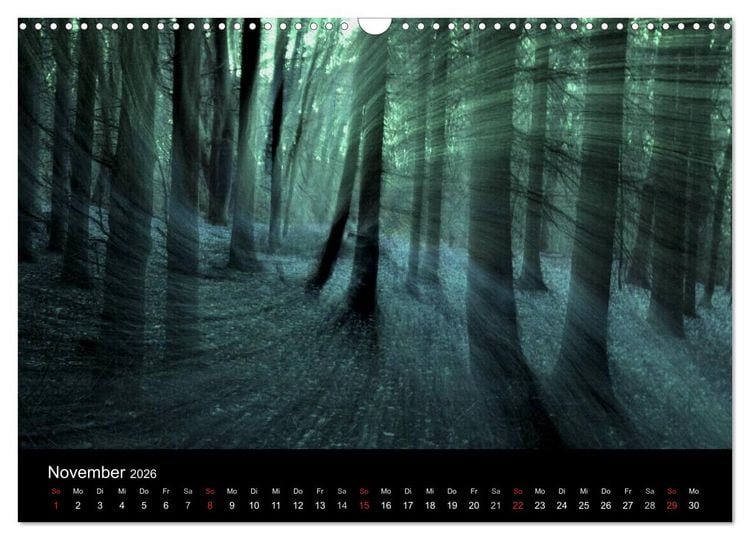 Produktbild: Magischer Wald (Wandkalender 2026 DIN A3 quer), CALVENDO Monatskalender