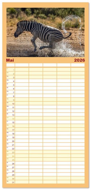Produktbild: Familienplaner 2026 - Action in der Savanne mit 5 Spalten (Wandkalender, 21 x 45 cm) CALVENDO