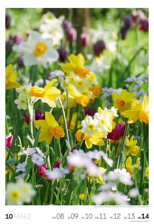 Produktbild: Garten Wochenkalender 2027