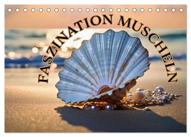 Produktbild: Faszination Muscheln (Tischkalender 2026 DIN A5 quer), CALVENDO Monatskalender