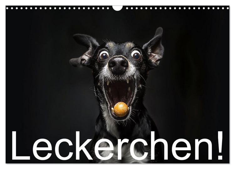 Produktbild: Leckerchen! (Wandkalender 2026 DIN A3 quer), CALVENDO Monatskalender