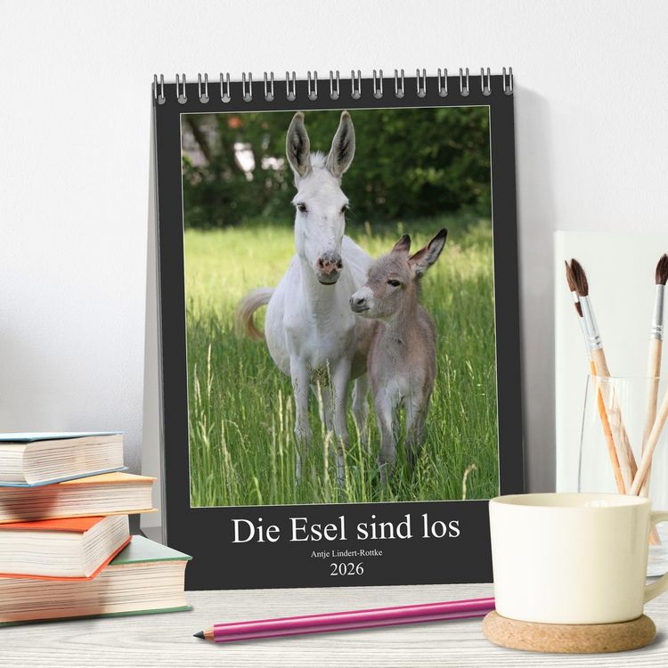 Produktbild: Die Esel sind los (Tischkalender 2026 DIN A5 hoch), CALVENDO Monatskalender