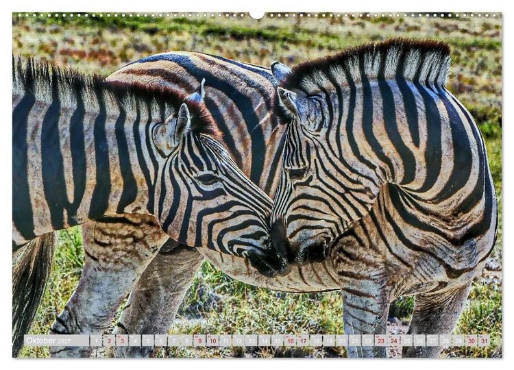 Produktbild: Namibia &ndash; Die Tierwelt vom Caprivi bis Etosha (hochwertiger Premium Wandkalender 2027 DIN A2 quer), Kunstdruck in Hochglanz