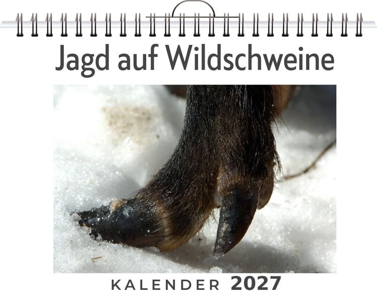 Produktbild: Jagd auf Wildschweine