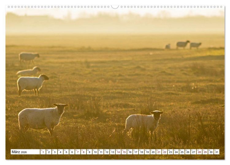 Produktbild: Cotentin &ndash; unser St&uuml;ck vom Paradies (Wandkalender 2026 DIN A2 quer), CALVENDO Monatskalender