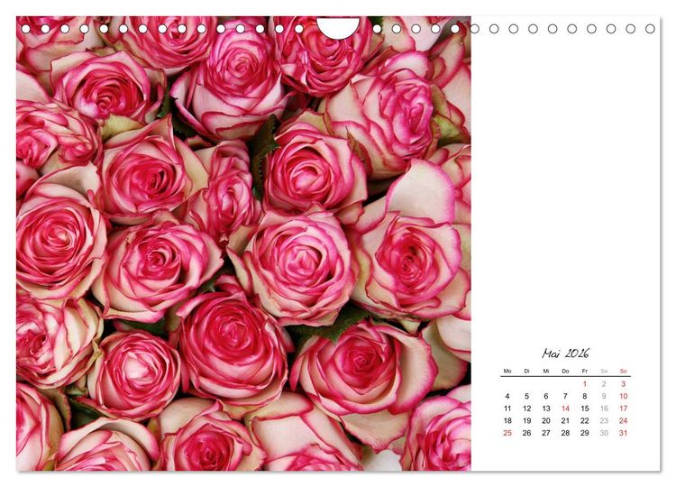 Produktbild: Die vielen Gesichter der Rosen (Wandkalender 2026 DIN A4 quer), CALVENDO Monatskalender
