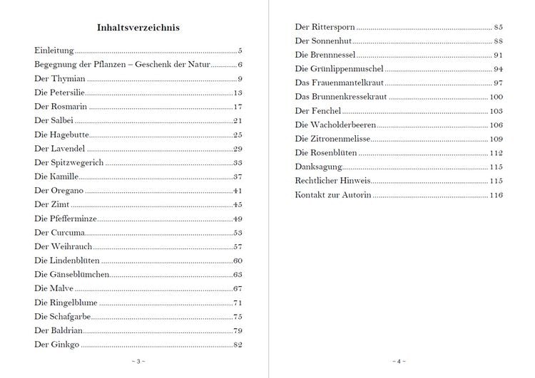 Produktbild: Fantasiereisen zu den Kr&auml;ften der Natur