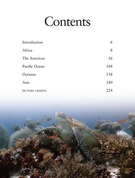 Produktbild: Reefs
