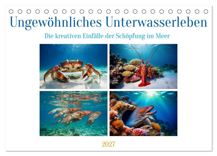 Produktbild: Ungew&ouml;hnliches Unterwasserleben (Tischkalender 2027 DIN A5 quer), CALVENDO Monatskalender