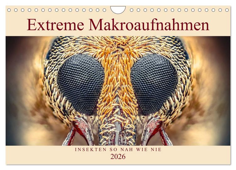 Produktbild: Extreme Makroaufnahmen - Insekten so nah wie nie (Wandkalender 2026 DIN A4 quer), CALVENDO Monatskalender