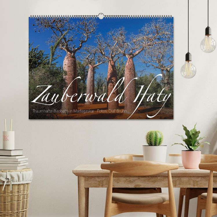 Produktbild: Zauberwald Ifaty &middot; Traumhafte Baobabs in Madagaskar (Wandkalender 2026 DIN A2 quer), CALVENDO Monatskalender