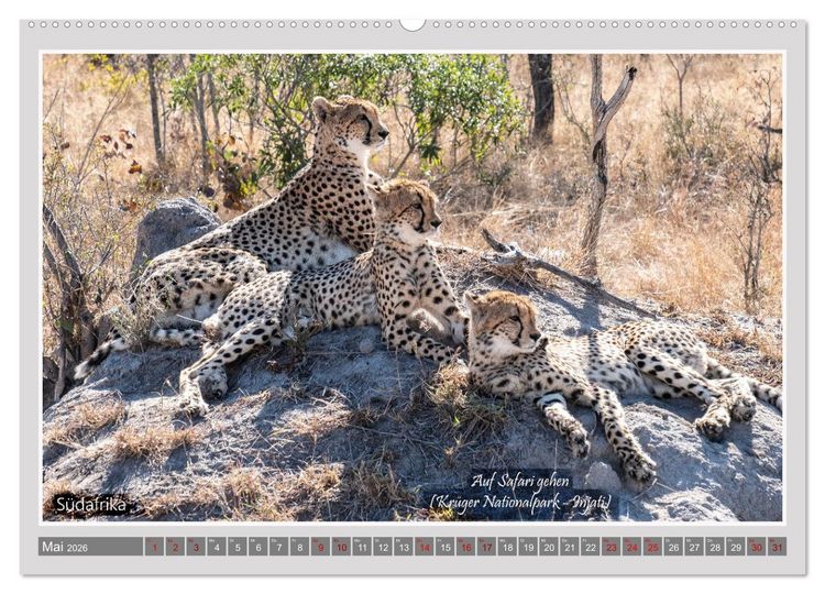 Produktbild: vom Reisen tr&auml;umen (hochwertiger Premium Wandkalender 2026 DIN A2 quer), Kunstdruck in Hochglanz