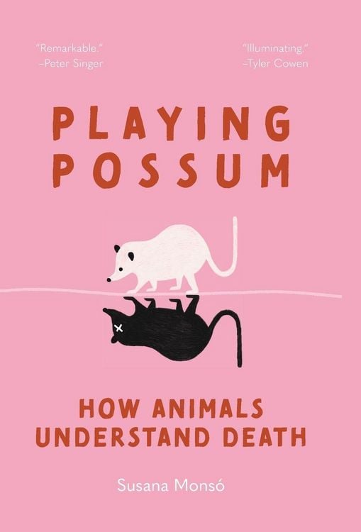 Produktbild: Playing Possum