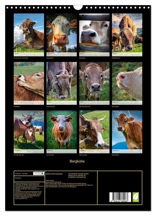 Produktbild: Bergk&uuml;he (Wandkalender 2026 DIN A3 hoch), CALVENDO Monatskalender