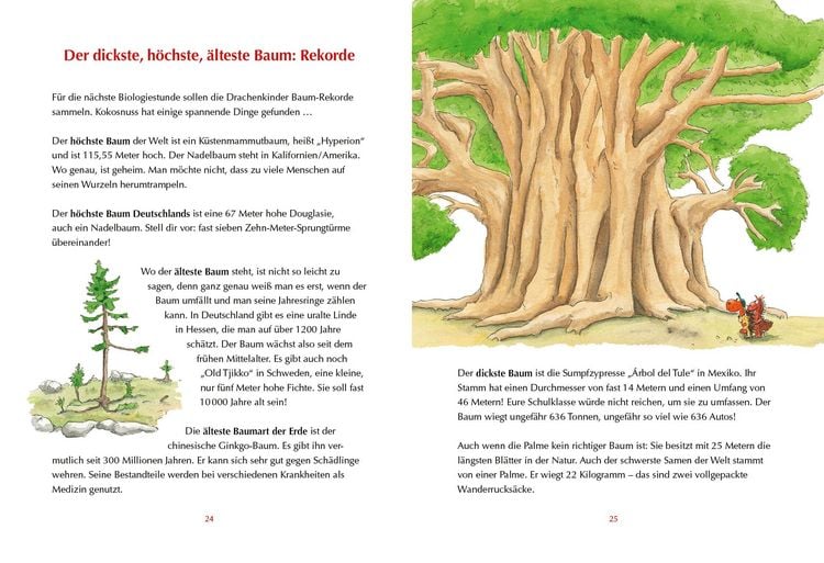 Produktbild: Der kleine Drache Kokosnuss - Mein erstes Wald-Buch