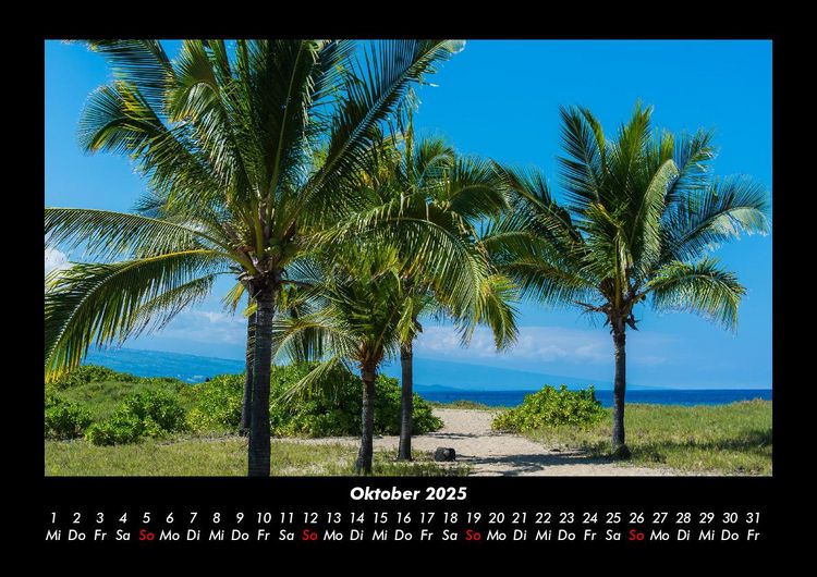 Produktbild: Palmentraum 2025 Fotokalender DIN A3