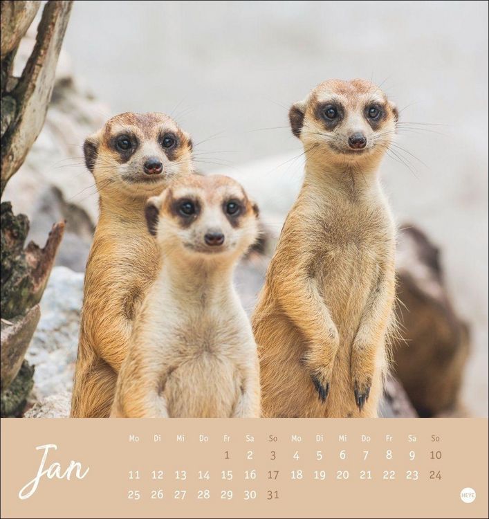 Produktbild: Erdm&auml;nnchen Postkartenkalender 2027