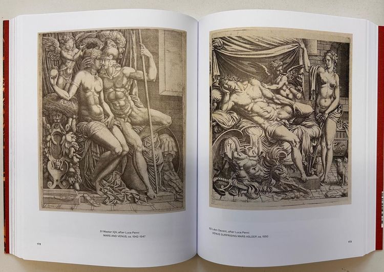 Produktbild: The Mannerist Mind