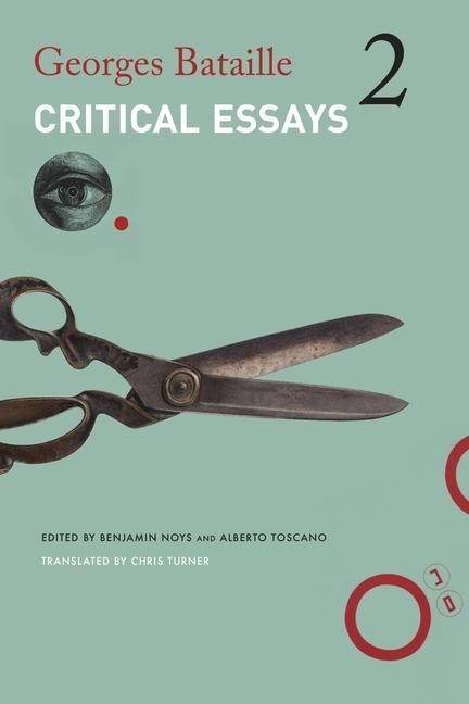 Produktbild: Critical Essays