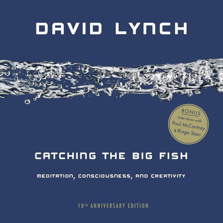 Produktbild: Catching the Big Fish