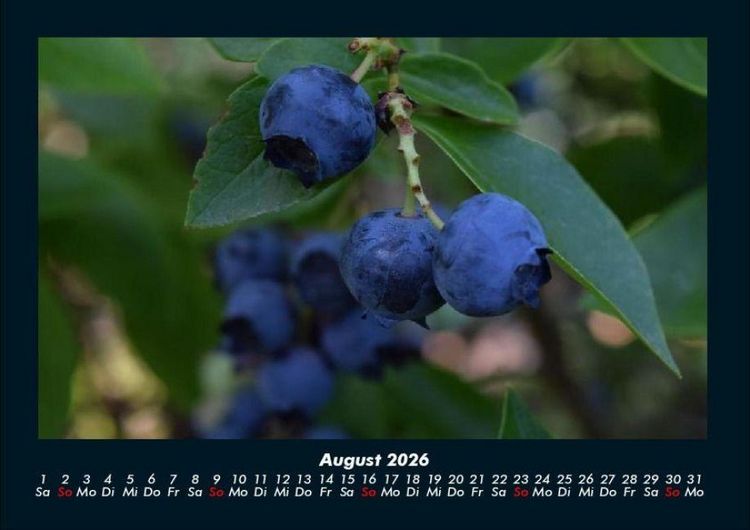 Produktbild: Obstkalender 2026 Fotokalender DIN A4