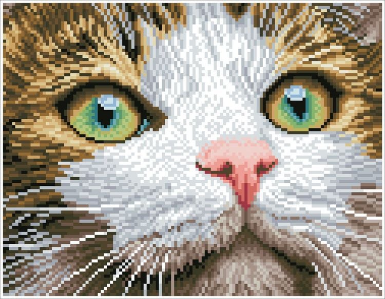 Produktbild: Diamond Dotz Katze mit gr&uuml;nen Augen