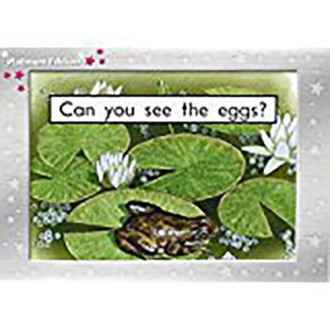 Produktbild: Can You See the Eggs?