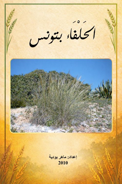 Produktbild: الحلفاء بتونس