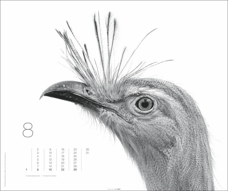 Produktbild: Black & White Animals 2027