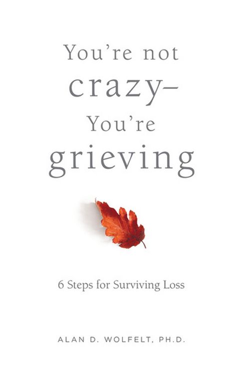 Produktbild: You're Not Crazy-You're Grieving: