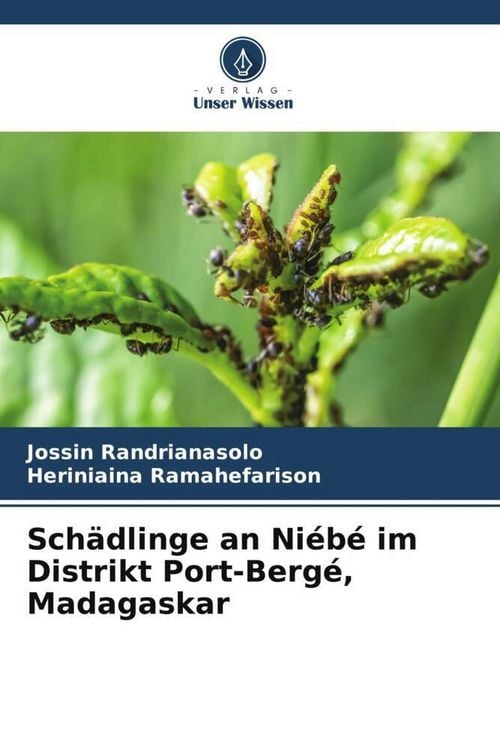 Produktbild: Sch&auml;dlinge an Ni&eacute;b&eacute; im Distrikt Port-Berg&eacute;, Madagaskar