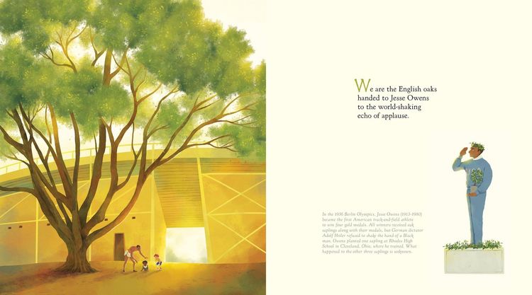 Produktbild: The Witness Trees