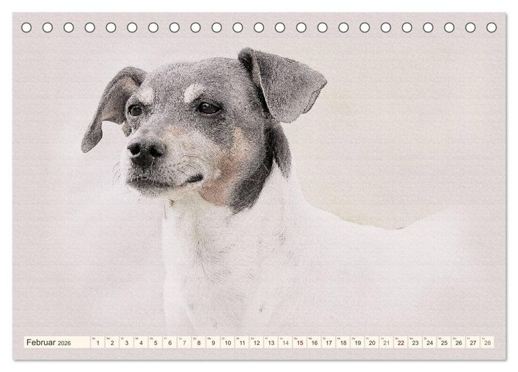 Produktbild: Bodeguero Andaluz 2026 (Tischkalender 2026 DIN A5 quer), CALVENDO Monatskalender