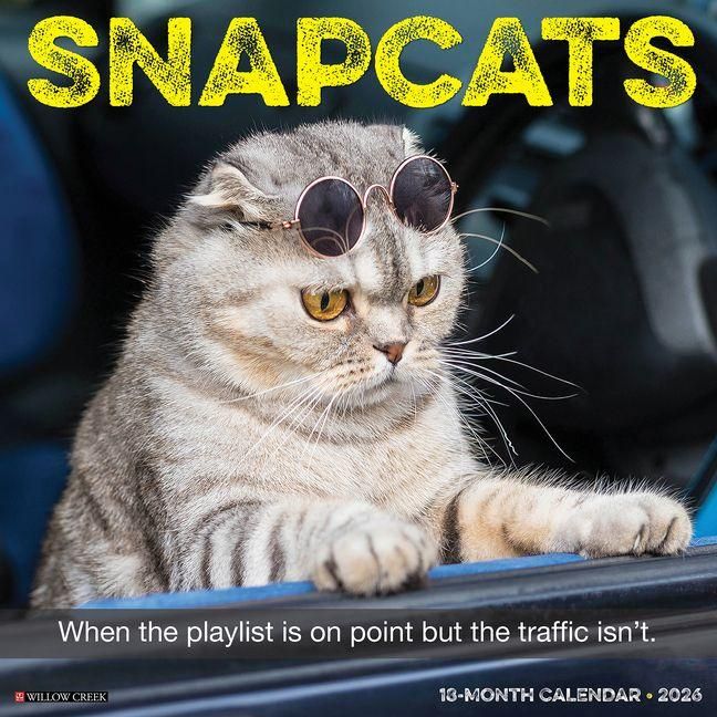 Produktbild: Snapcats 2026 12 X 12 Wall Calendar