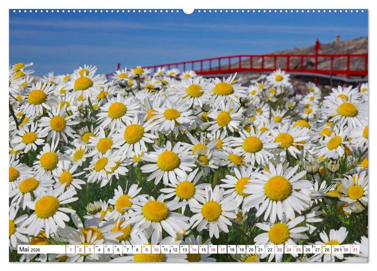 Produktbild: Gr&ouml;nland - Wildes, weites Land (hochwertiger Premium Wandkalender 2026 DIN A2 quer), Kunstdruck in Hochglanz